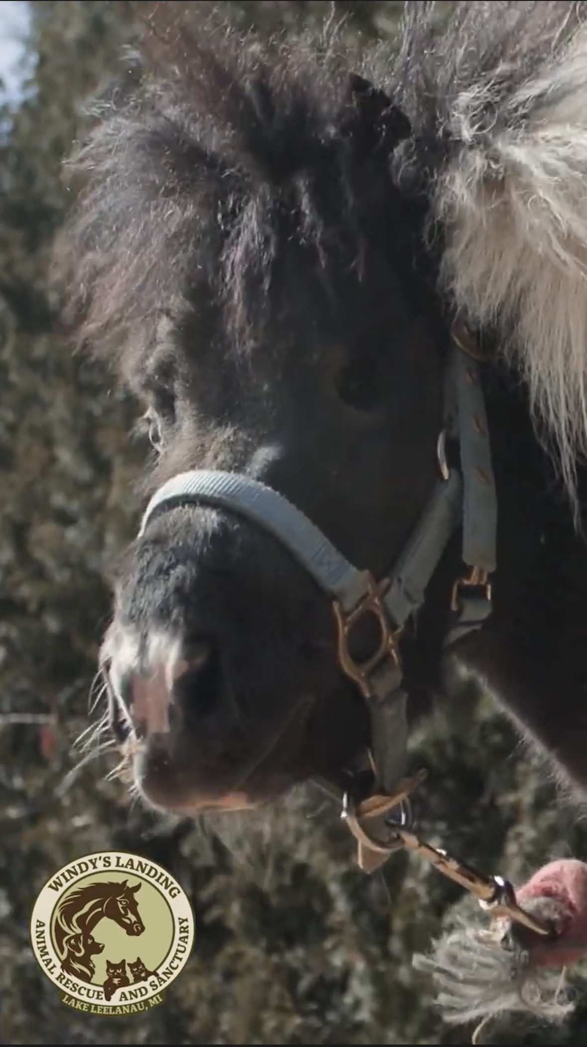 Doc, our mascot