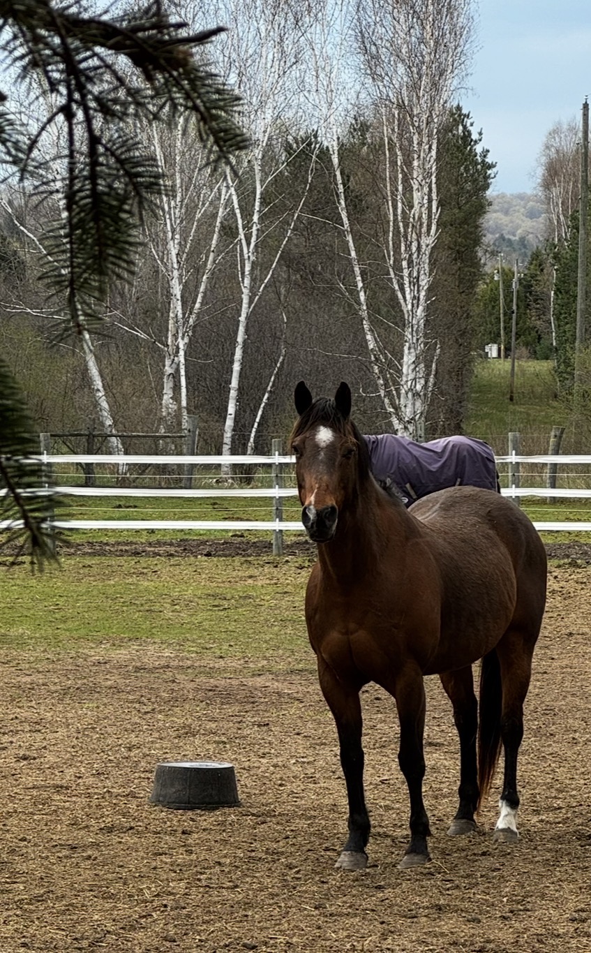 Windy, our namesake